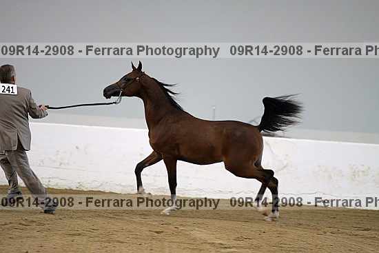 Proof 09r14-2908