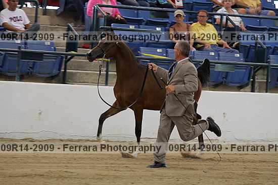 Proof 09r14-2909