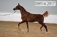 09r14-2917 proof