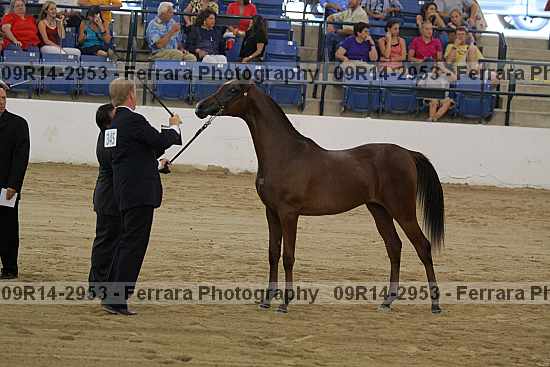 Proof 09r14-2953