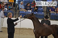 09r14-2954 proof