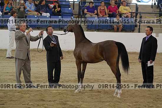 Proof 09r14-2955