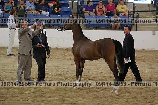 Proof 09r14-2956