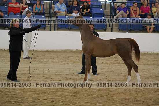 Proof 09r14-2963