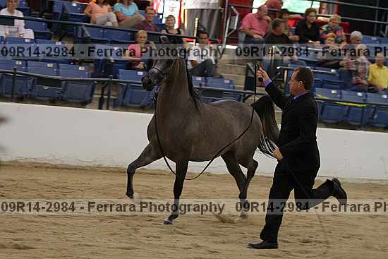Proof 09r14-2984