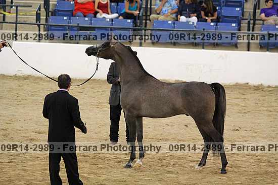 Proof 09r14-2989