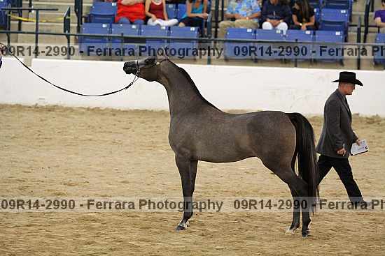 Proof 09r14-2990