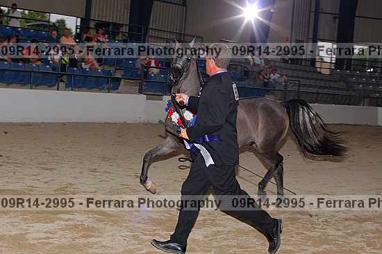 Proof 09r14-2995