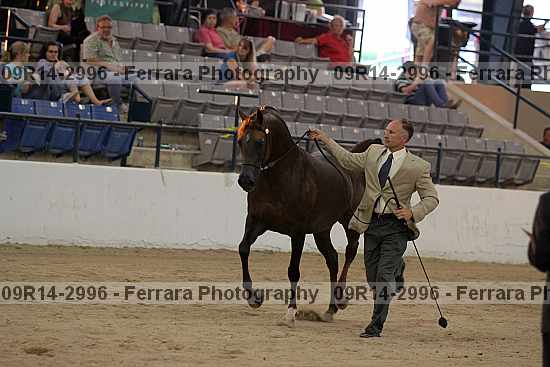 Proof 09r14-2996