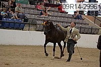09r14-2996 proof