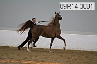 09r14-3001 proof