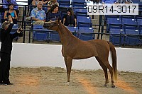 09r14-3017 proof