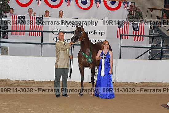 Proof 09r14-3038