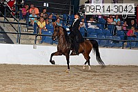 09r14-3042 proof