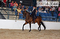 09r14-3044 proof