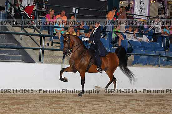 Proof 09r14-3045