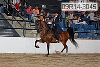 09r14-3045 proof