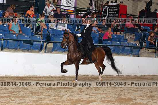 Proof 09r14-3046