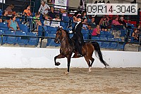 09r14-3046 proof