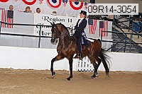 09r14-3054 proof