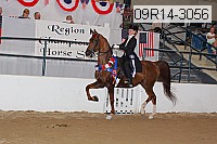 09r14-3056 proof