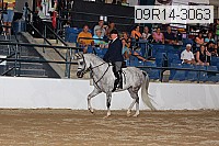 09r14-3063 proof
