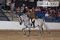 09r14-3068 proof