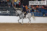 09r14-3077 proof