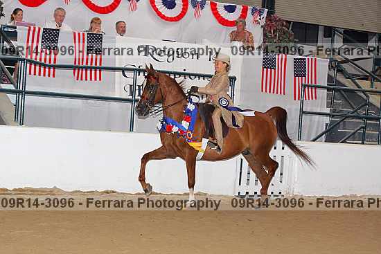 Proof 09r14-3096