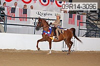 09r14-3096 proof