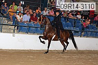 09r14-3110 proof