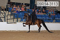 09r14-3113 proof
