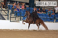 09r14-3114 proof