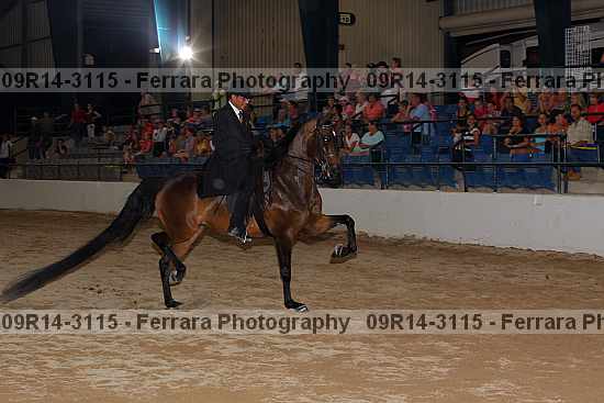 Proof 09r14-3115