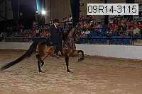 09r14-3115 proof