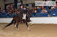 09r14-3116 proof