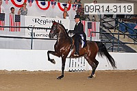 09r14-3119 proof