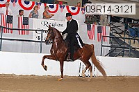 09r14-3121 proof