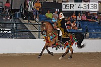 09r14-3138 proof