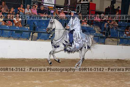 Proof 09r14-3142