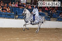 09r14-3142 proof