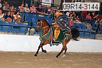 09r14-3144 proof