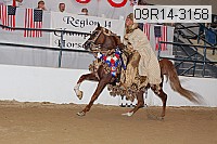 09r14-3158 proof