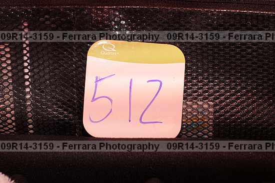Proof 09r14-3159