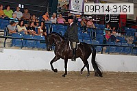 09r14-3161 proof