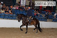 09r14-3163 proof