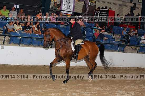 Proof 09r14-3164