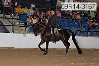 09r14-3167 proof