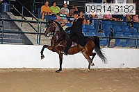 09r14-3182 proof