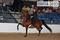 09r14-3183 proof